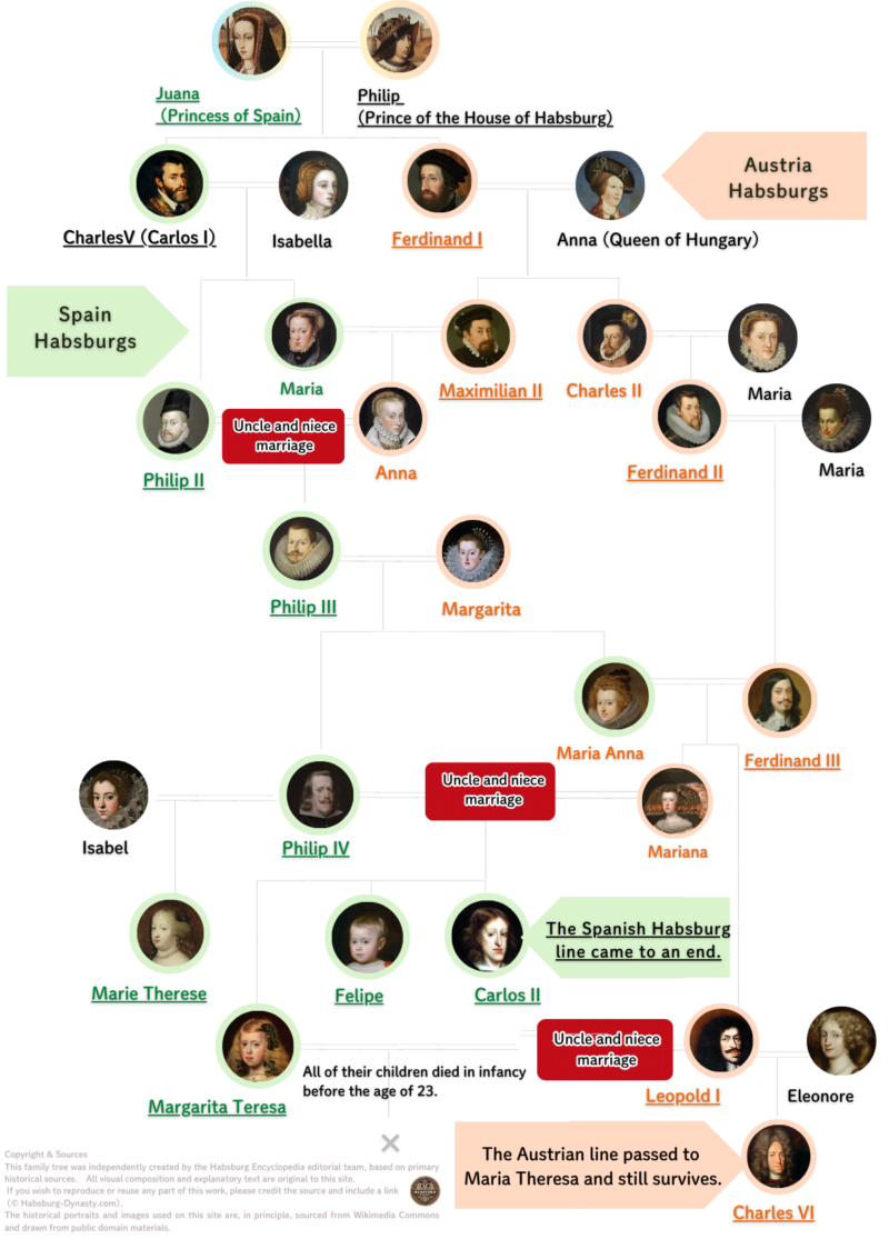 Family Tree of Habsburg Marriages Spanish and Austrian Lines